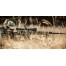 Оптический прицел NIGHTFORCE ATACR™ 5-25×56 SFP Zerostop™ .1 Mil-R DigIllum™ PTL Mil-R™ (С554)